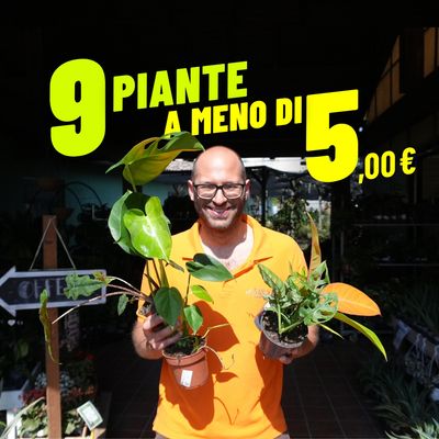 9 PIANTE A MENO DI 5€