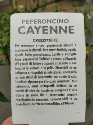 PEPERONCINO PICCANTE CAYENNA RED DEVIL, Capsicum annuum - vaso Ø14 cm