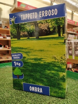 TAPPETO ERBOSO OMBRA SCATOLA SEMI 1 KG SEMENTI SEME PRATO SEMENZA FESTUCA POA AGROSTIDE