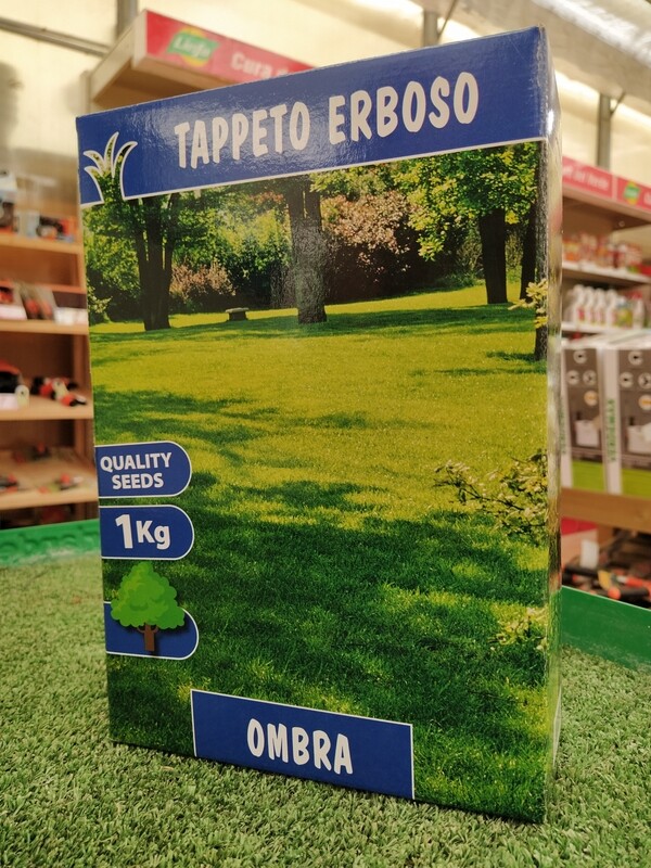 Semi per Prato "Ombra" - Mix Festuca, Poa e Agrostide (Scatola 1 KG)