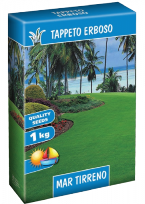 TAPPETO ERBOSO MAR TIRRENO SCATOLA SEMI 1 KG SEME SEMENTI SEMENZA PRATO LOIETTO FESTUCA POA