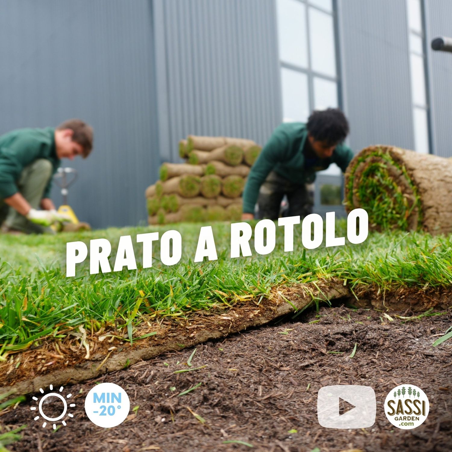 Prato a Rotoli, prato a zolle, a rotolo, running - 1 MQ