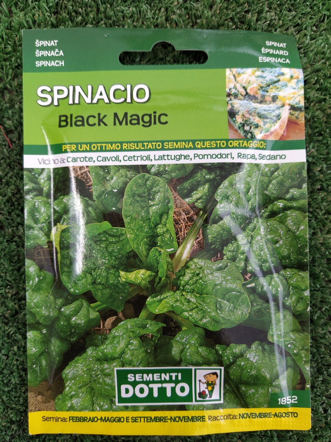 Spinacio Black Magic - Busta semi