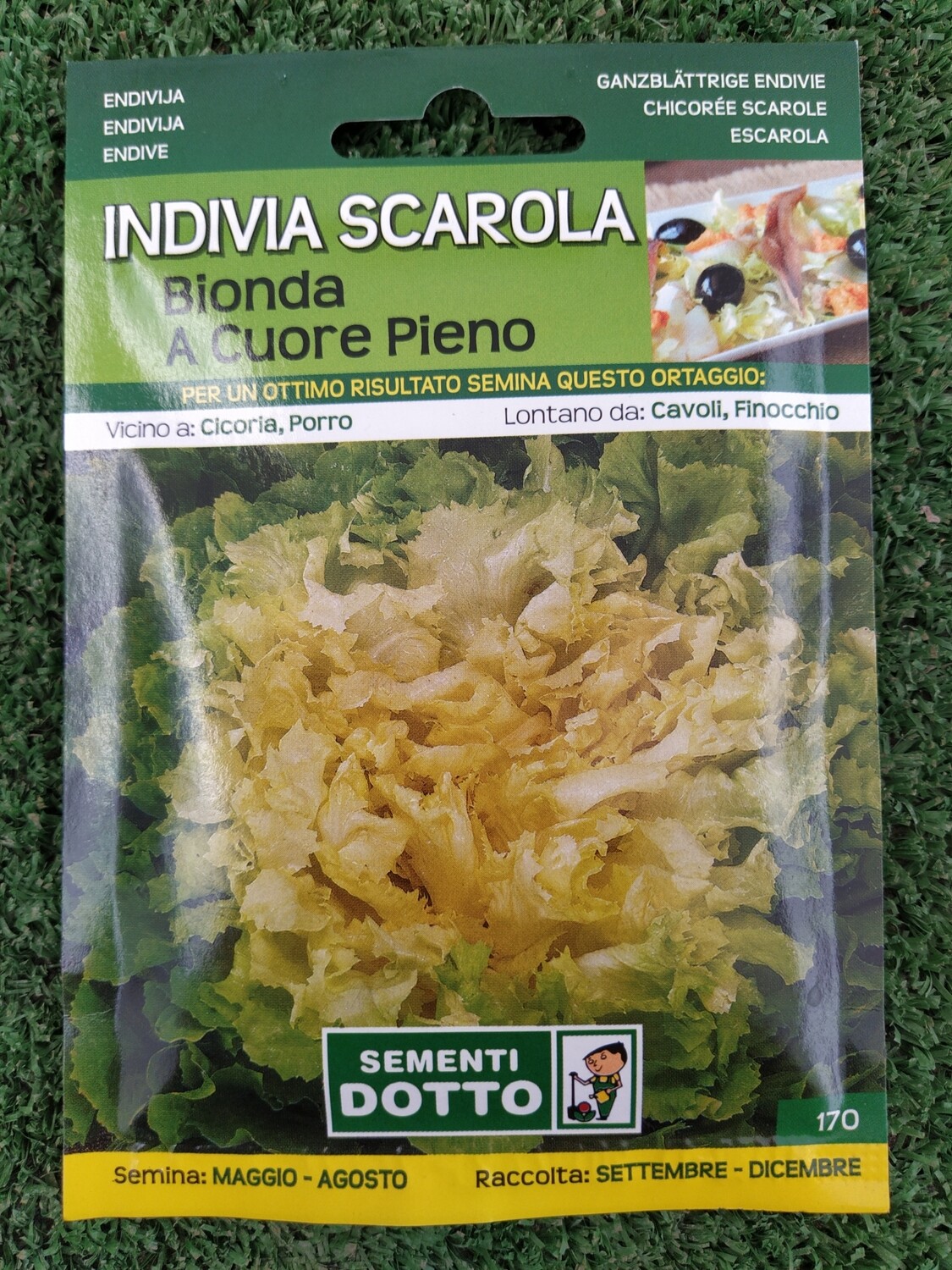 Invidia scarola - Busta semi