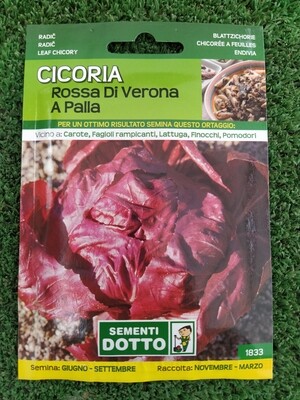 Cicoria Rossa di Verona a Palla - Busta semi Cicoria Rossa di Verona a Palla - Busta semi