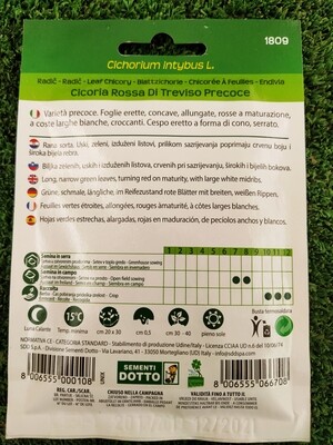 Cicoria Rossa di Treviso precoce - Busta semi