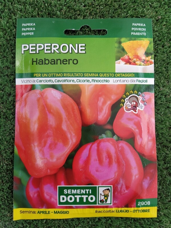 Peperoncino Habanero - Busta semi Peperoncino Habanero - Busta semi