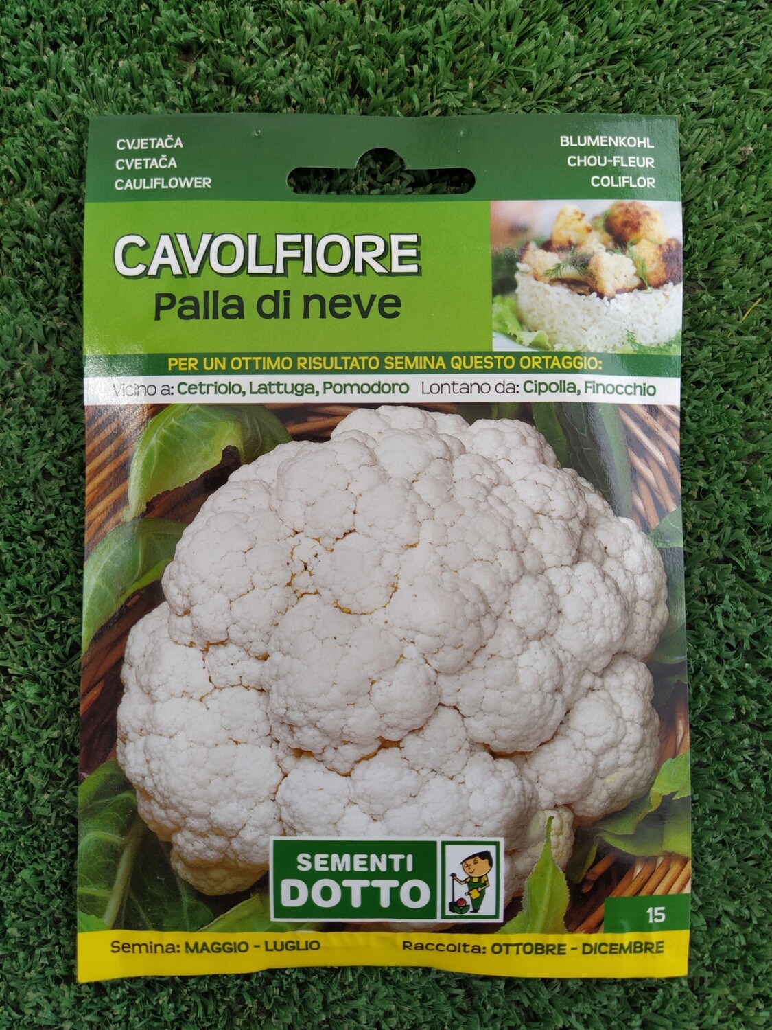 Cavolfiore Palla di Neve - Busta semi Cavolfiore Palla di Neve - Busta semi