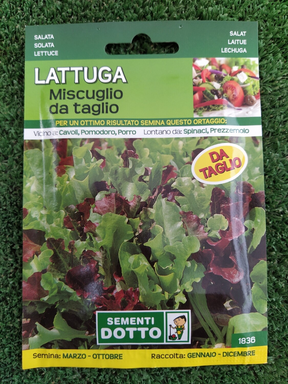 Lattuga miscuglio da taglio - Busta semi Lattuga miscuglio da taglio - Busta semi