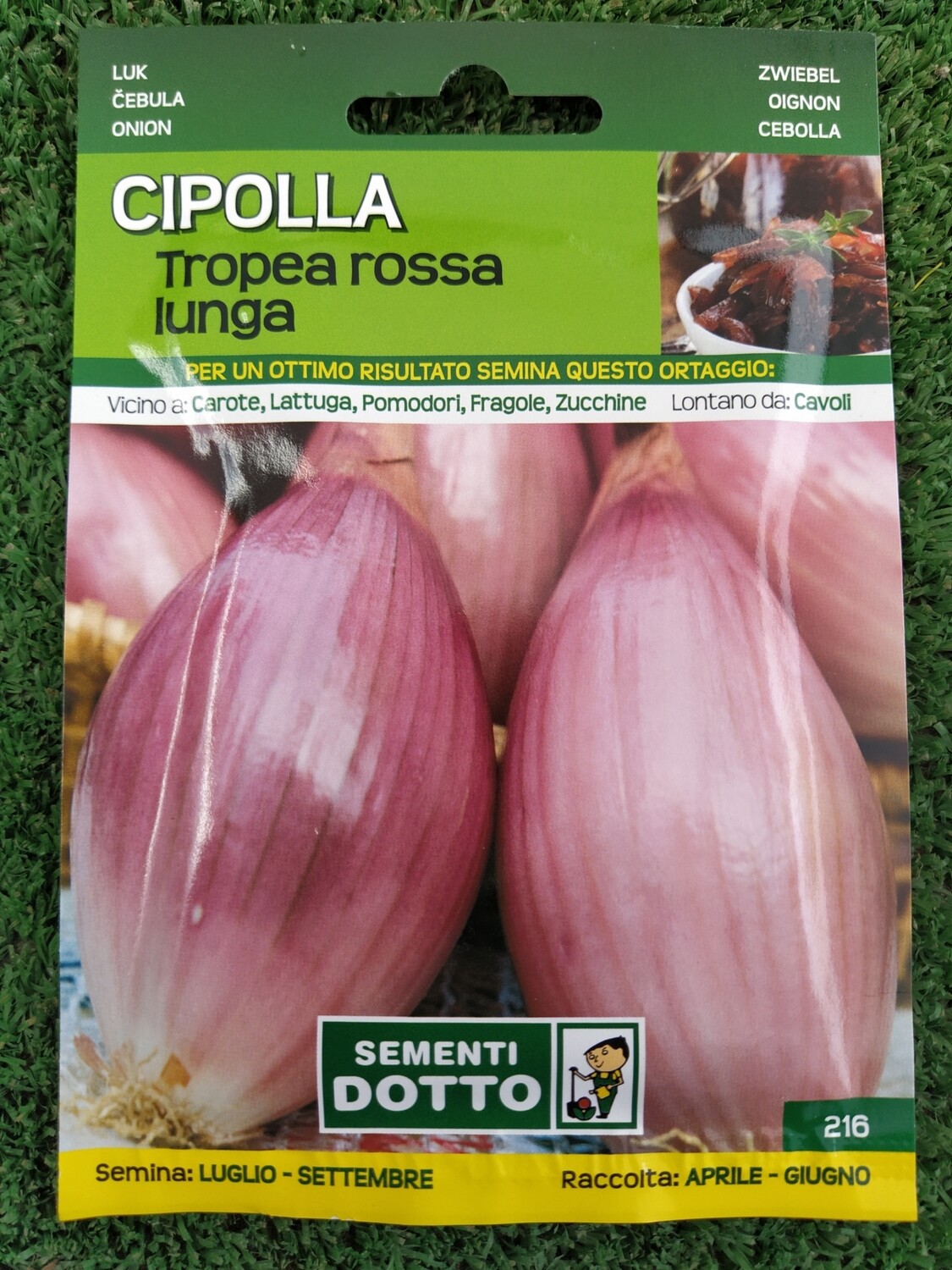 Cipolla Tropea rossa - Busta semi