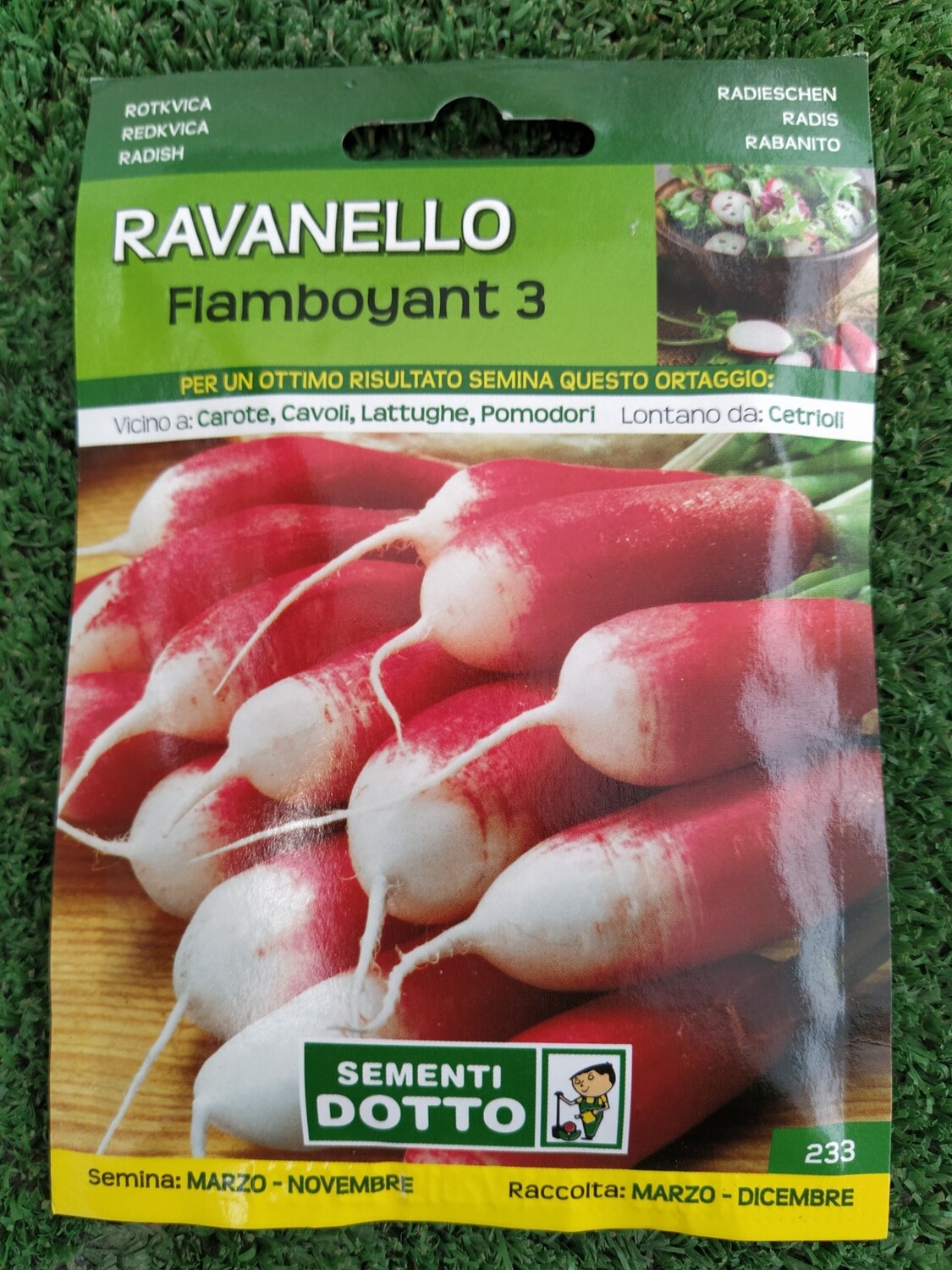 Ravanello Flamboyant - Busta semi