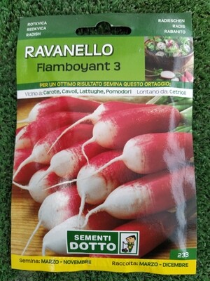 Ravanello Flamboyant - Busta semi