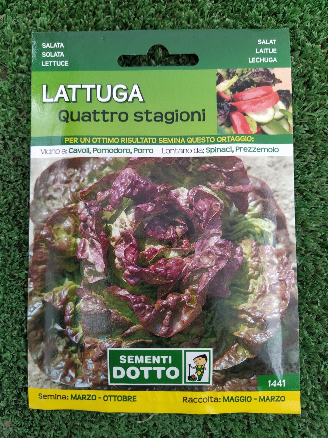 LATTUGA 4 STAGIONI BUSTA LATTUGA 4 STAGIONI BUSTA