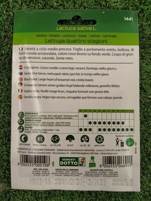LATTUGA 4 STAGIONI BUSTA