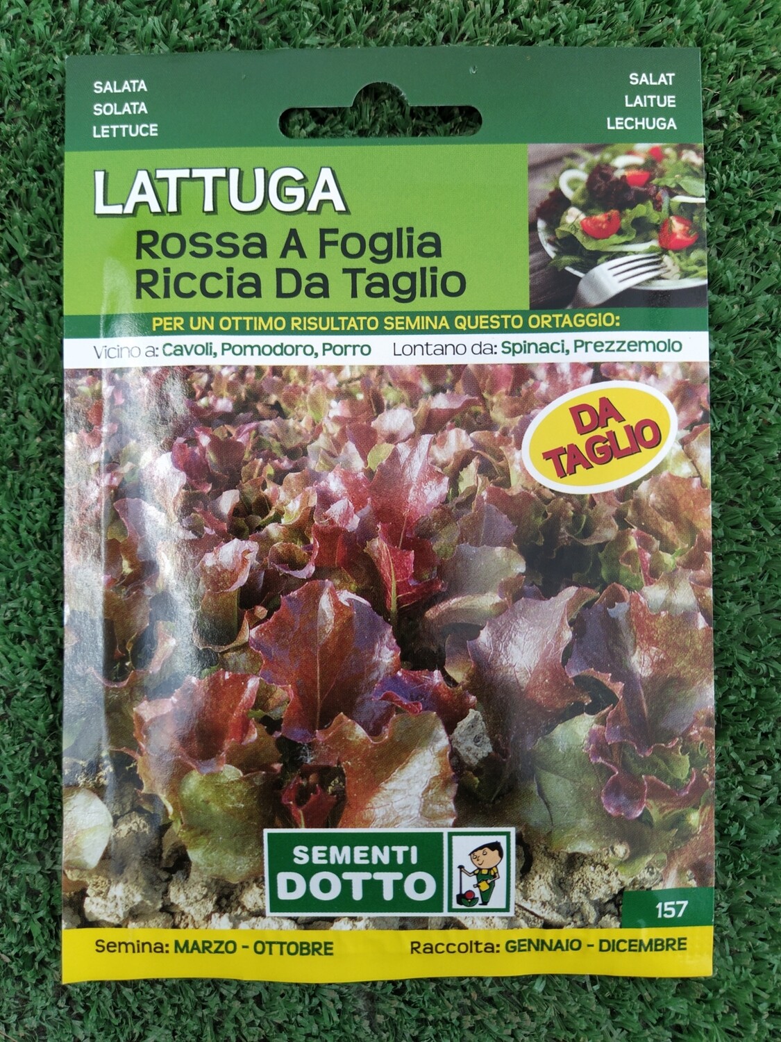 Lattuga rossa a foglia riccia da taglio - Busta semi