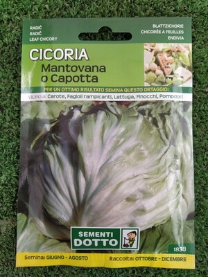 Cicoria Mantovana - Busta semi Cicoria Mantovana - Busta semi