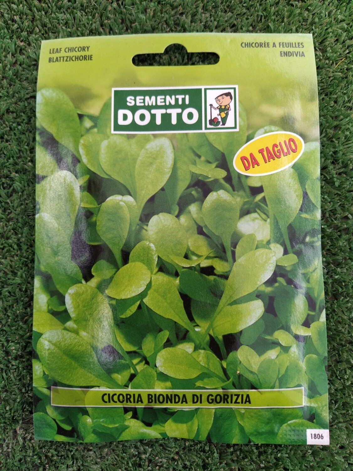 Cicoria Bionda di Gorizia - Busta semi Cicoria Bionda di Gorizia - Busta semi