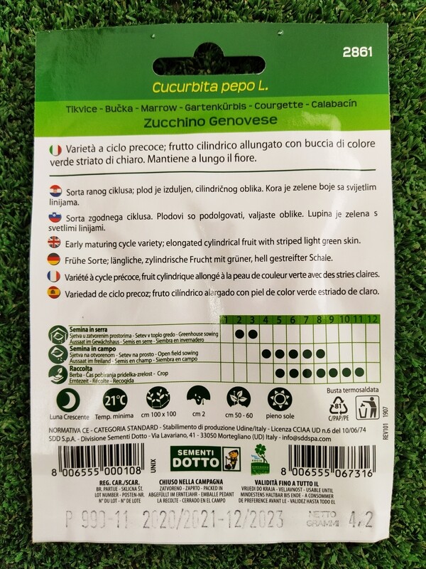 Cucurbita pepo subsp. pepo, Zucchino Genovese - Busta semi