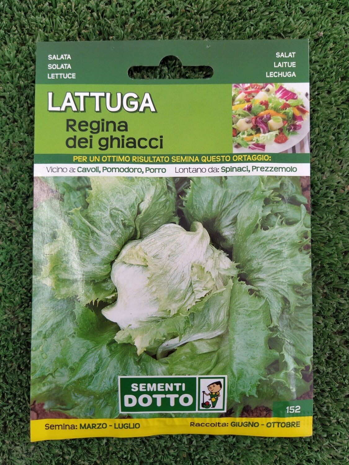 Lattuga regina dei ghiacci - Busta semi Lattuga regina dei ghiacci - Busta semi