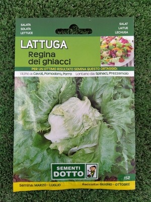 Lattuga regina dei ghiacci - Busta semi