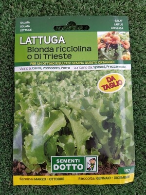 Lattuga bionda ricciolina o di Trieste - Busta semi