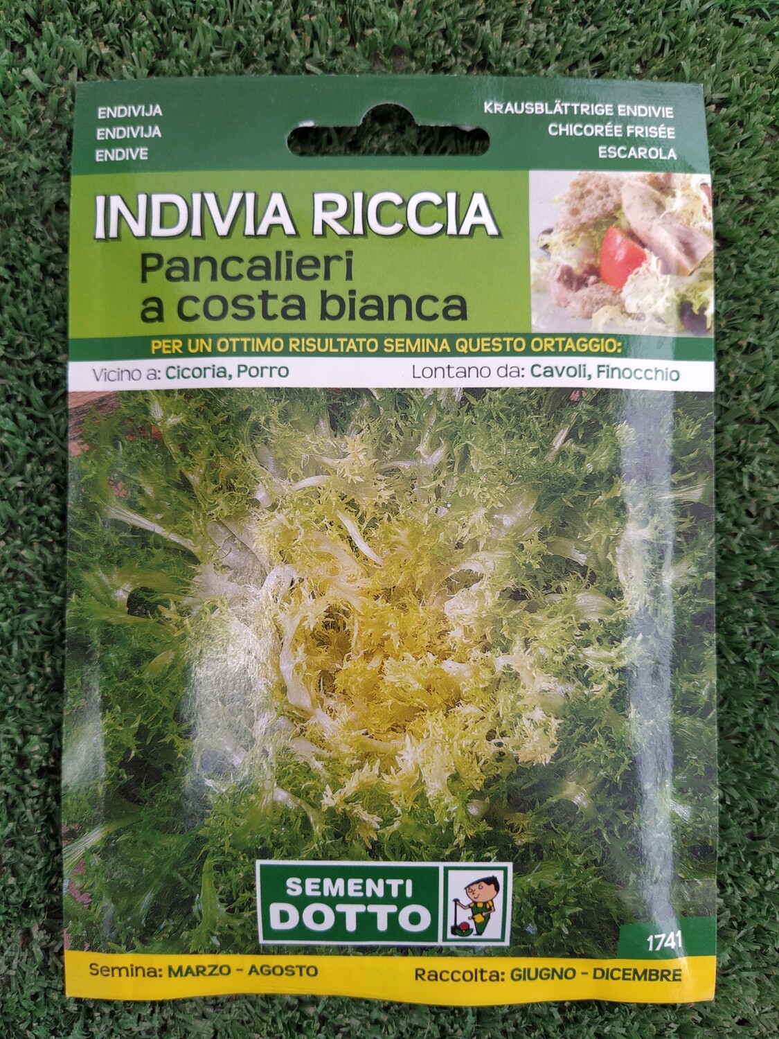 Invidia Riccia - Busta semi Invidia Riccia - Busta semi