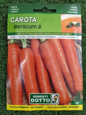 Carota Berlicum - Busta semi