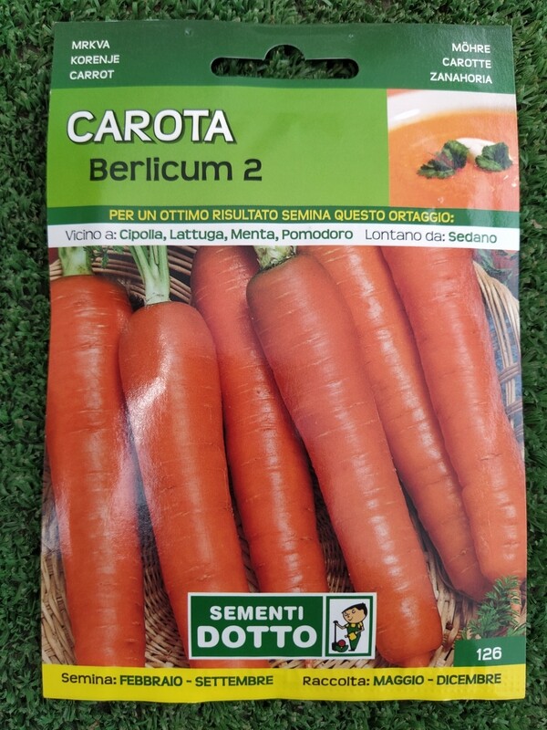 Carota Berlicum - Busta semi