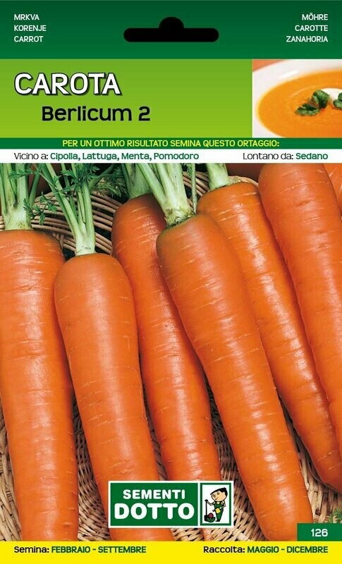 Carota Berlicum - Busta semi Carota Berlicum - Busta semi