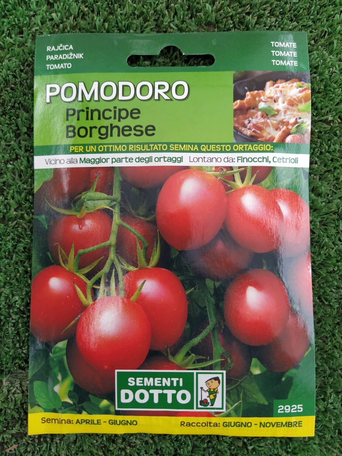 Pomodoro Principe Borghese - Busta semi Pomodoro Principe Borghese - Busta semi