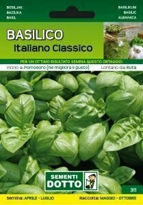 Basilico italiano classico, Ocimum basilicum - Busta semi Basilico italiano classico, Ocimum basilicum - Busta semi
