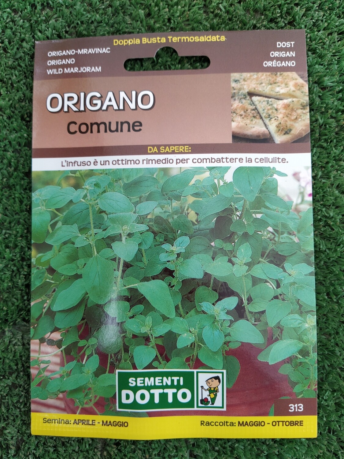 Origano comune - Busta semi