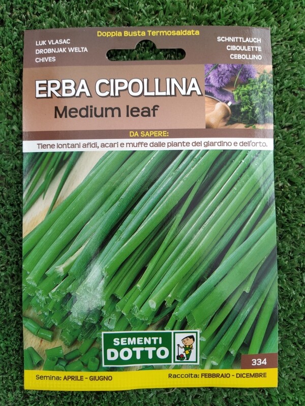 Erba Cipollina - Busta semi Erba Cipollina - Busta semi