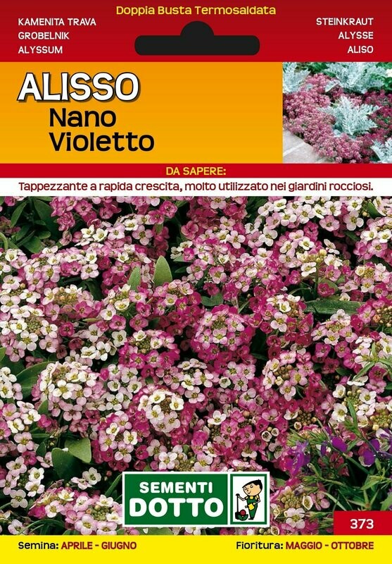 Alyssum mairitimum, Alisso nano violetto - Busta semi Alyssum mairitimum, Alisso nano violetto - Busta semi