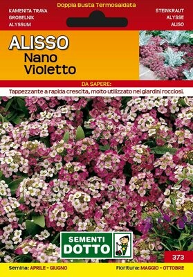 Alyssum mairitimum, Alisso nano violetto - Busta semi