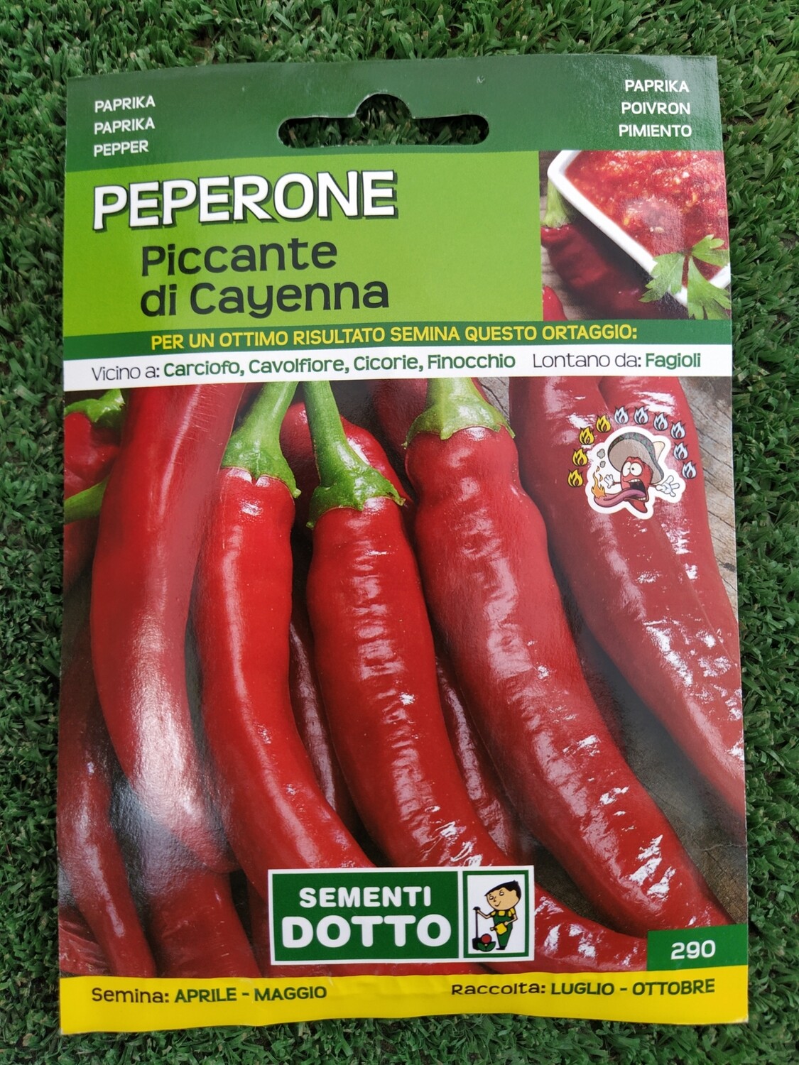 Peperoncino piccante di Cayenna - Busta semi Peperoncino piccante di Cayenna - Busta semi