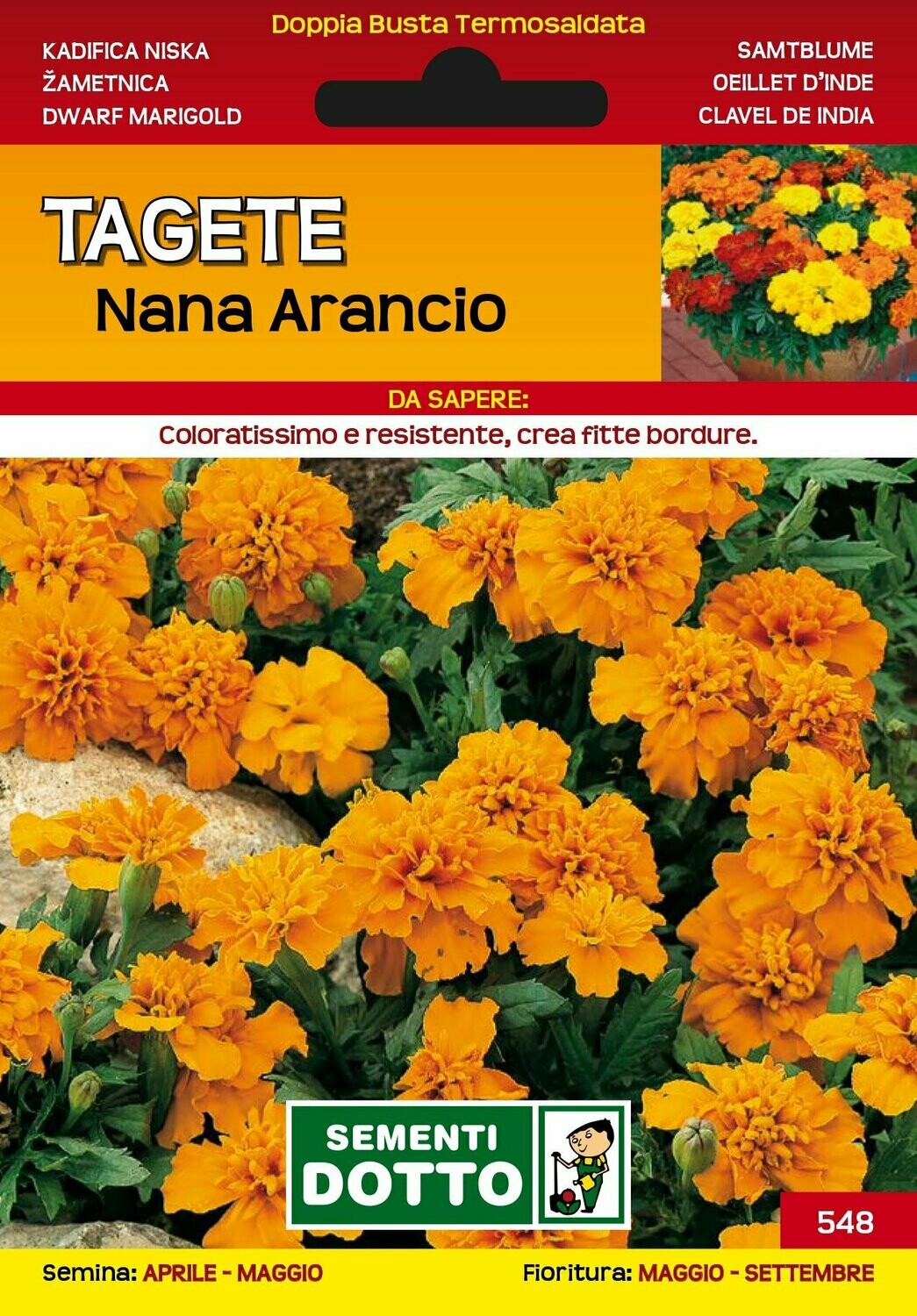 Tagete nana arancio - Busta semi