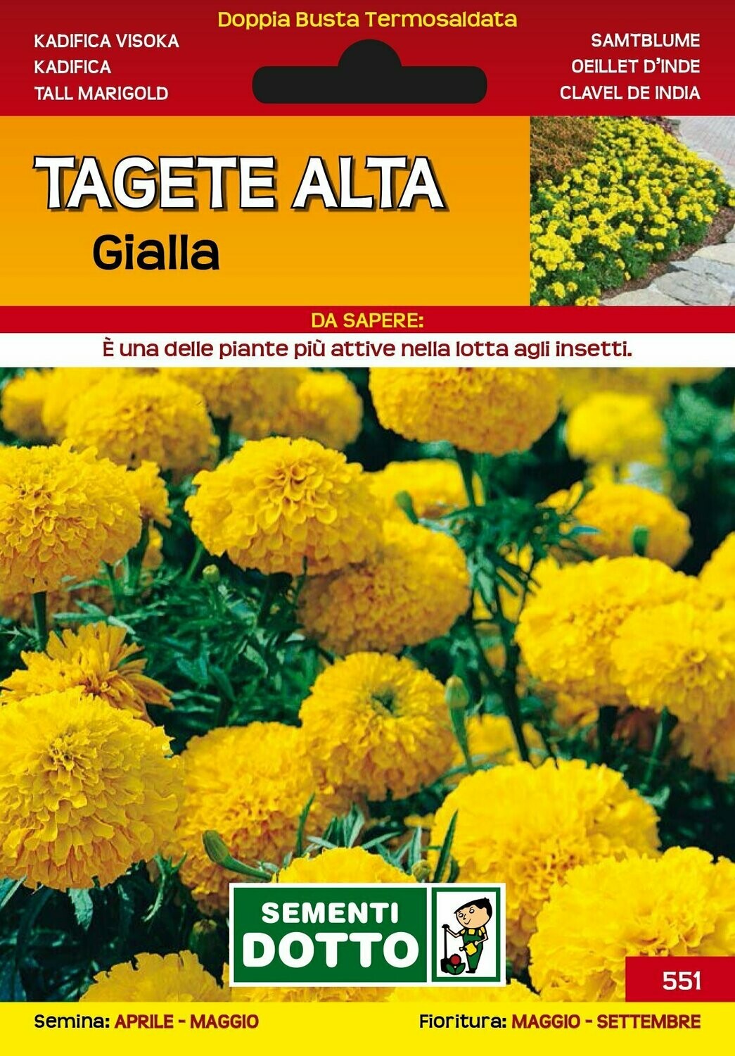 Tagete alta gialla - Busta semi