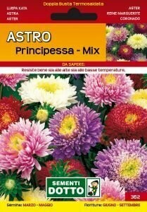 Astro Principessa, Aster - Busta semi Astro Principessa, Aster - Busta semi