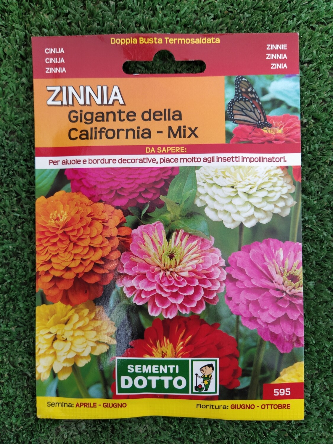 Zinnia elegans, Zinnia gigante della California mix - Busta semi Zinnia elegans, Zinnia gigante della California mix - Busta semi