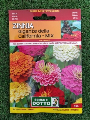 Zinnia elegans, Zinnia gigante della California mix - Busta semi