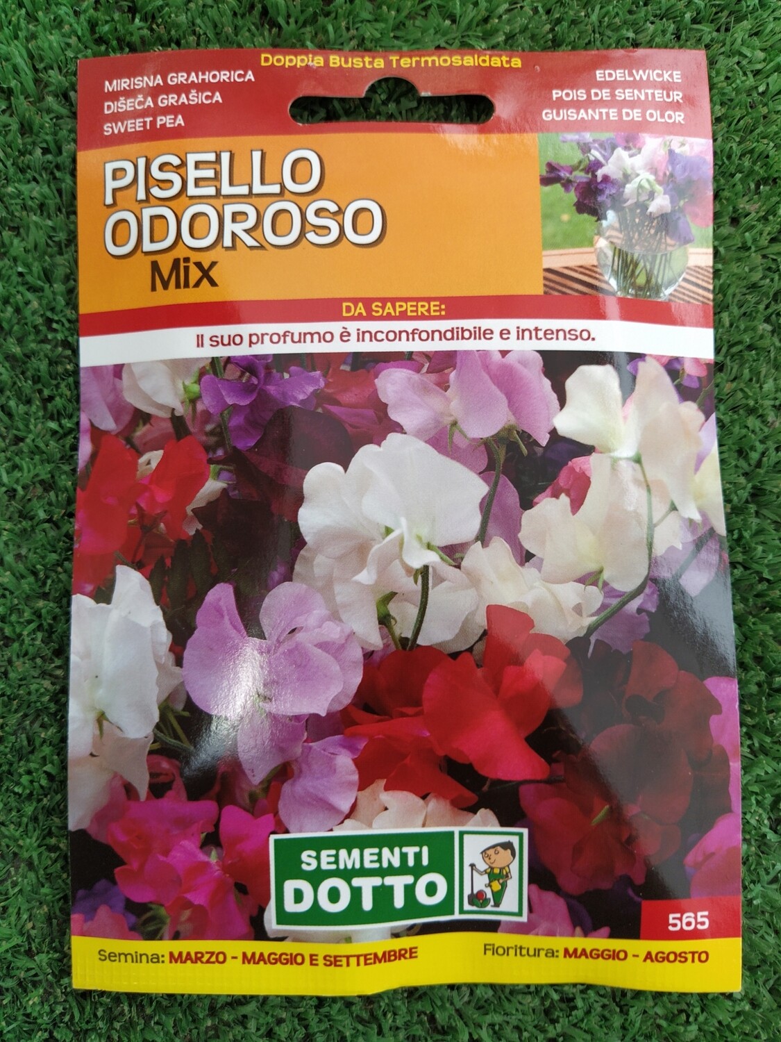 Pisello odoroso mix - Busta semi Pisello odoroso mix - Busta semi