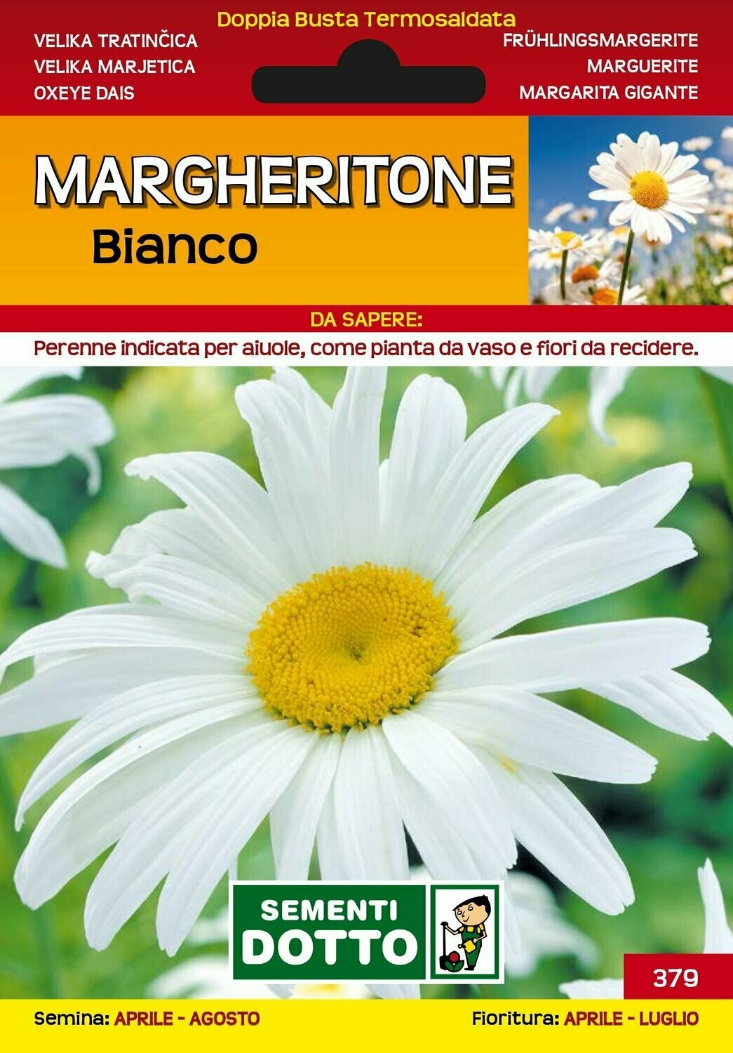 Margheritone bianco - Busta semi