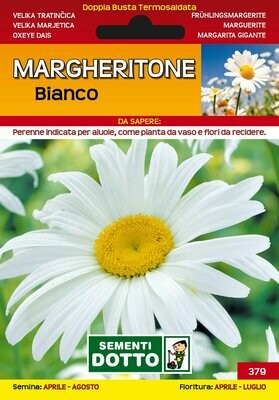 Margheritone bianco - Busta semi Margheritone bianco - Busta semi