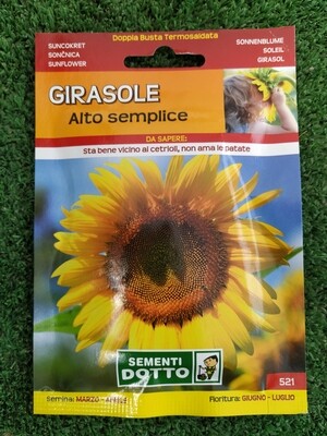 Girasole alto semplice - Busta semi