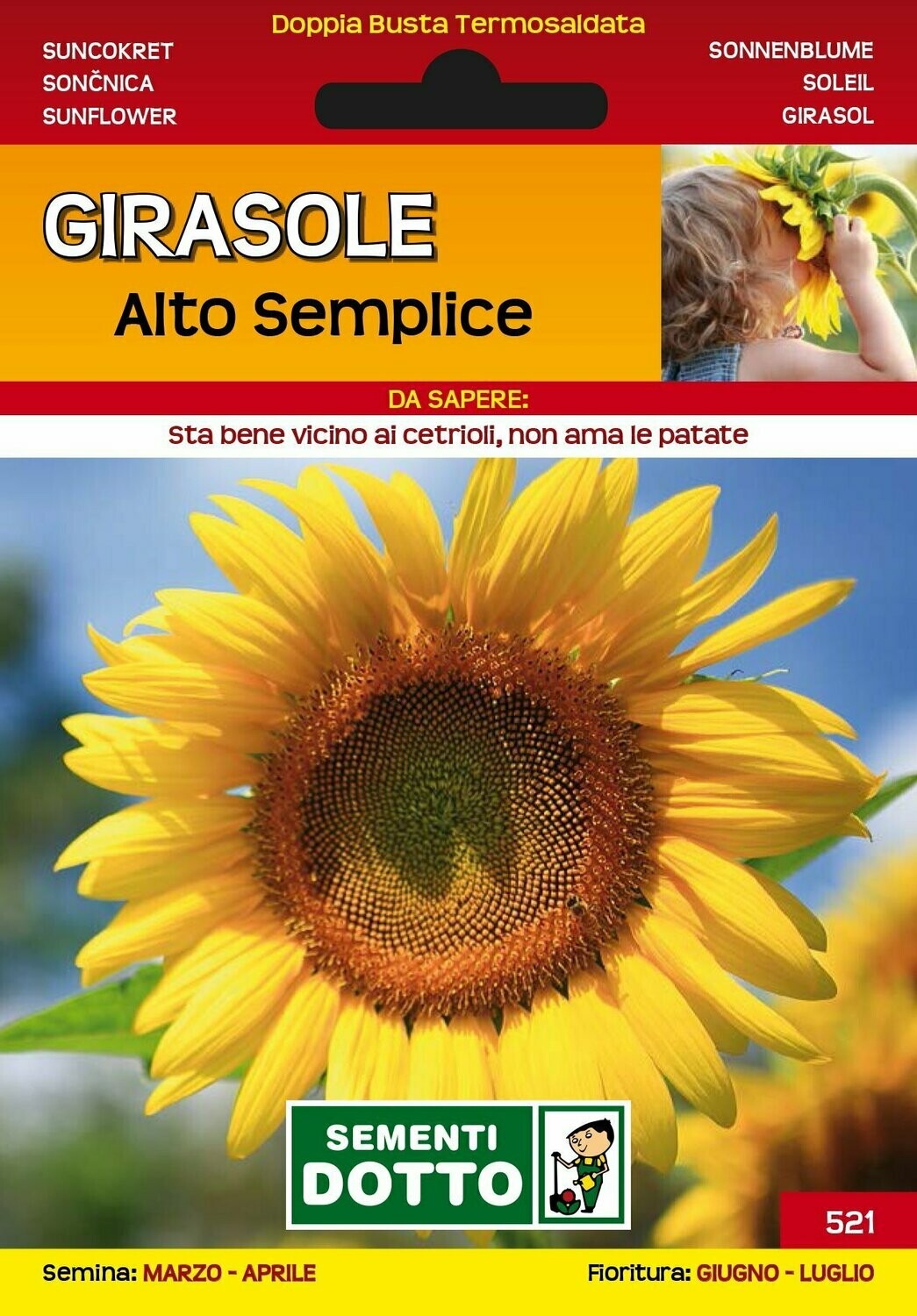 Girasole alto semplice - Busta semi Girasole alto semplice - Busta semi