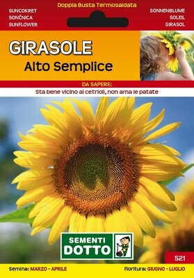 Girasole alto semplice - Busta semi