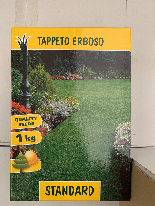 TAPPETO ERBOSO Standard SEMI 1 KG SEMENTI SEMENZA SEME PRATO LOIETTO FESTUCA