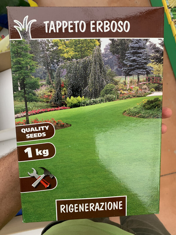 Tappeto Erboso Rigenerazione: Sementi per Riparare il Prato (1 KG)