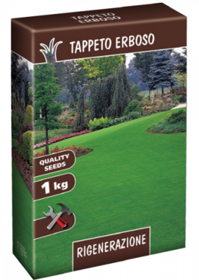 TAPPETO ERBOSO RIGENERAZIONE SEMI 1 KG LOIETTO SEMENTI SEMENZA PRATO